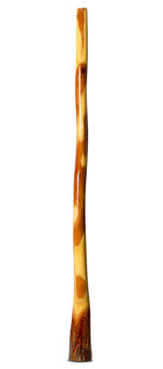 Ironbark Didgeridoo (IB231)